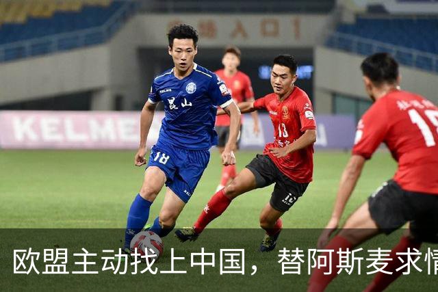 欧盟主动找上中国，替阿斯麦求情：中方别管制了，真顶不住